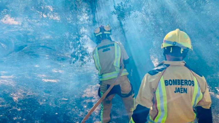 Los Bomberos de Jaén sofocan tres incendios: uno en Mancha Real y dos en la capital Los Bomberos de Jaén sofocan tres incendios: uno en Mancha Real y dos en la capital