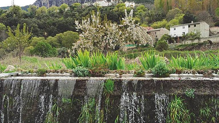 Siempre es primavera en Jaén