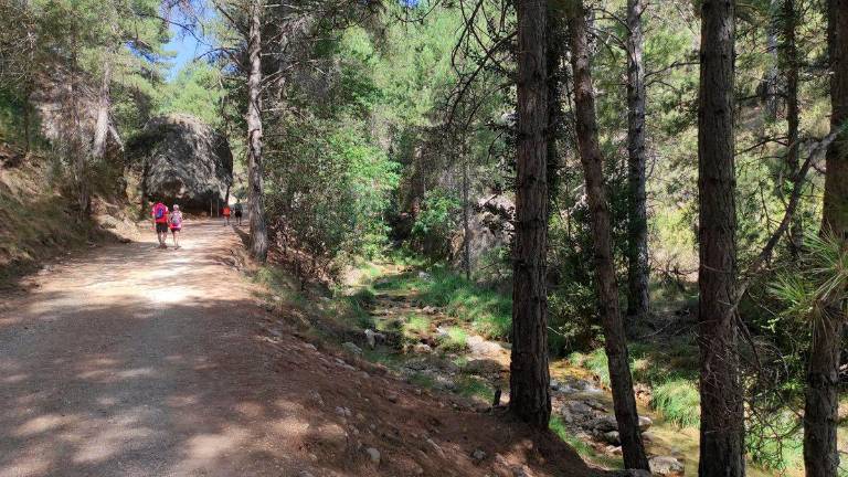 La naturaleza exuberante de Jaén como referente nacional La naturaleza exuberante de Jaén como referente nacional