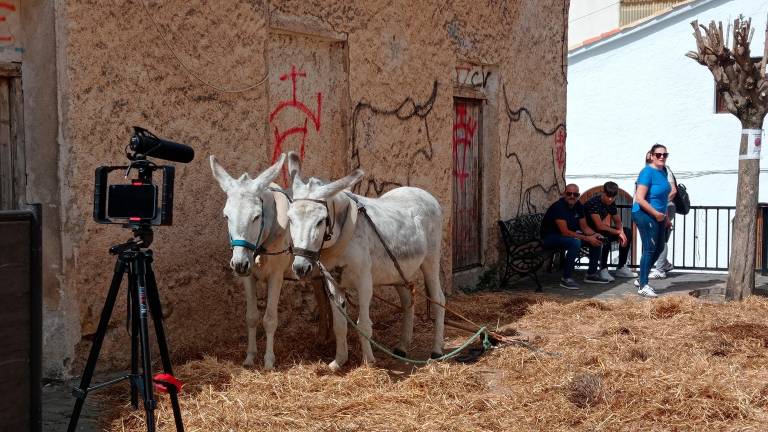 Feria de la Trashumancia (VI): De la cetrería a la demostración de trilla tradicional Feria de la Trashumancia (VI): De la cetrería a la demostración de trilla tradicional