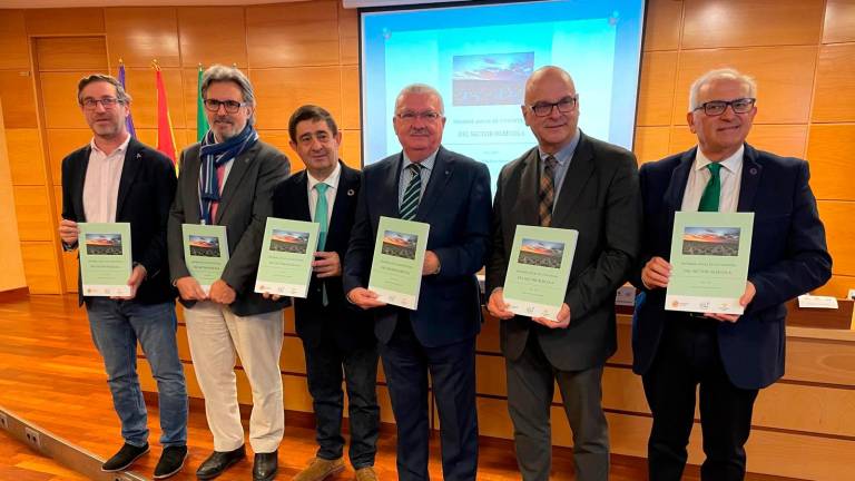 El cooperativismo pierde fuerza en Jaén y marca al sector oleícola El cooperativismo pierde fuerza en Jaén y marca al sector oleícola