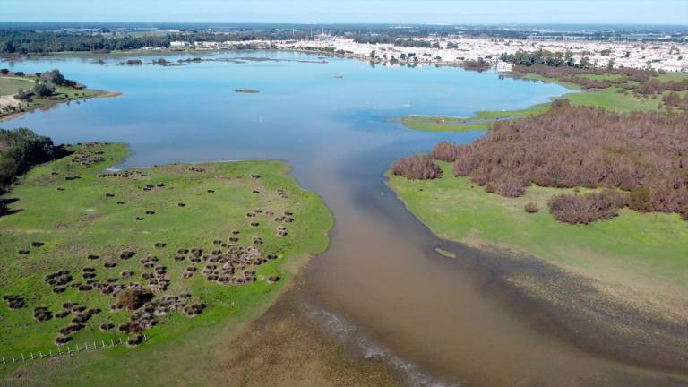 La Estación Biológica alerta de que Doñana “aún no ha salido del momento crítico” pese a las lluvias La Estación Biológica alerta de que Doñana “aún no ha salido del momento crítico” pese a las lluvias