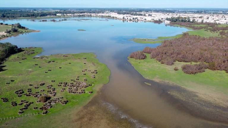 Marisma de Doñana. / CSIC / Archivo Europa Press. 