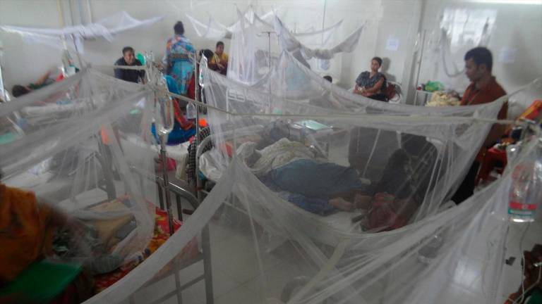 Bangladesh notifica 1.006 muertos y más de 200.000 contagiados por un brote de dengue Bangladesh notifica 1.006 muertos y más de 200.000 contagiados por un brote de dengue