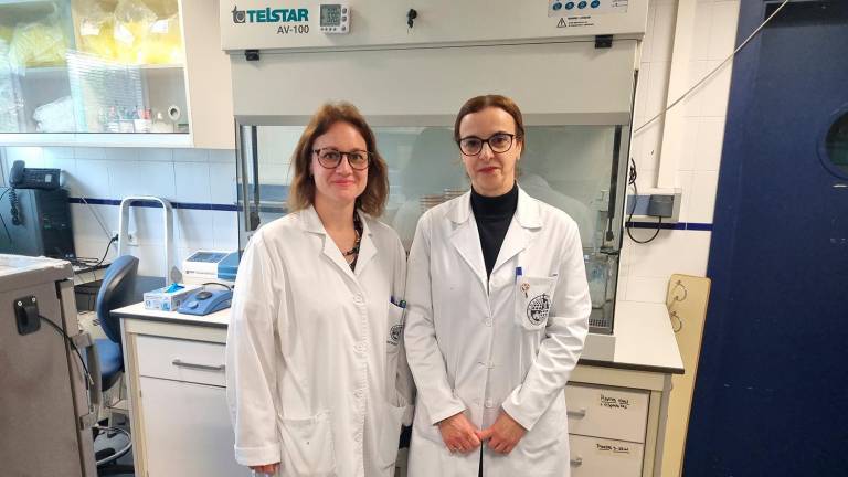 La UJA descubre unas esporas para combatir una bacteria dañina para el olivar La UJA descubre unas esporas para combatir una bacteria dañina para el olivar