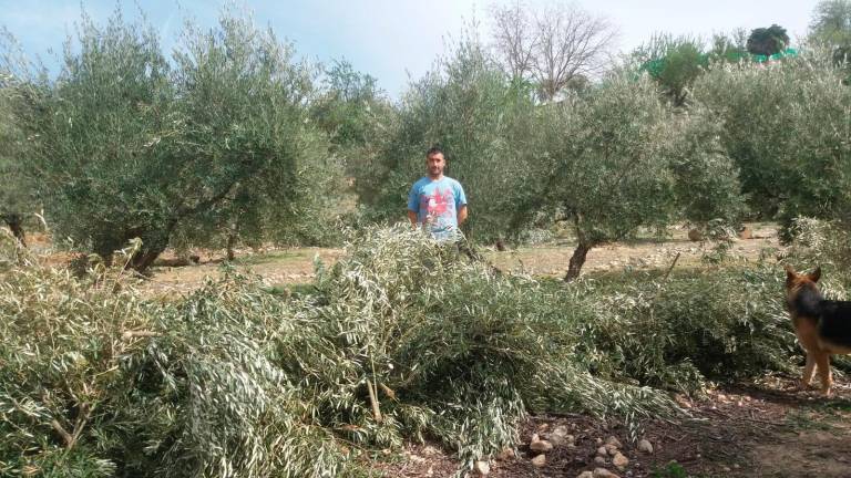 La Asociación de Agricultores Independientes echa a andar