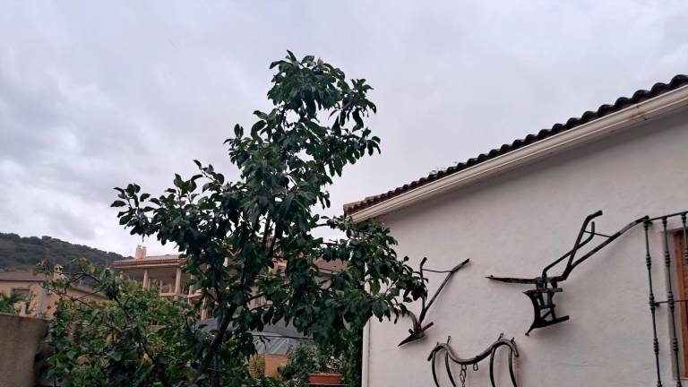 De las tormentas de jueves y viernes en Jaén al fin de semana sin avisos por riesgo De las tormentas de jueves y viernes en Jaén al fin de semana sin avisos por riesgo