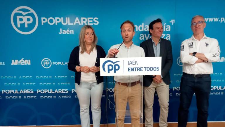 Erik Domínguez: “Es una cortina de humo para tapar el paseíllo de Julio Millán y África Colomo como investigados” Erik Domínguez: “Es una cortina de humo para tapar el paseíllo de Julio Millán y África Colomo como investigados”