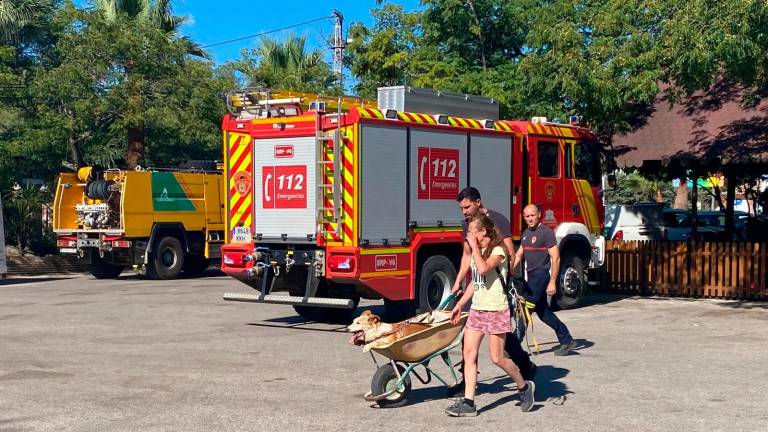 Estabilizado el incendio en Andújar: los vecinos evacuados ya pueden volver a casa Estabilizado el incendio en Andújar: los vecinos evacuados ya pueden volver a casa