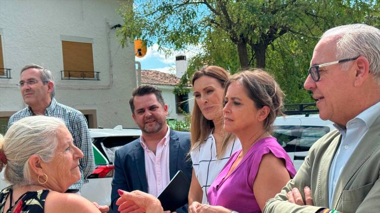 Paso de gigante para normalizar las viviendas de La Capellanía Paso de gigante para normalizar las viviendas de La Capellanía