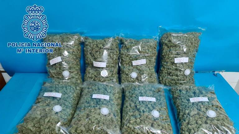 Dos detenidos en Linares con más diez kilos de cogollos de marihuana Dos detenidos en Linares con más diez kilos de cogollos de marihuana
