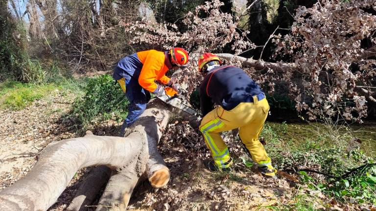 Comienza la primera fase de recuperación de Los Cañones de Río Frío Comienza la primera fase de recuperación de Los Cañones de Río Frío