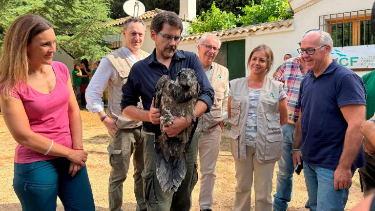 “Acosta”, el último ejemplar de quebrantahuesos liberado en Cazorla “Acosta”, el último ejemplar de quebrantahuesos liberado en Cazorla
