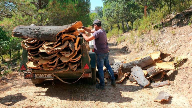 Despeñaperros generará 1.400 jornales durante este verano Despeñaperros generará 1.400 jornales durante este verano