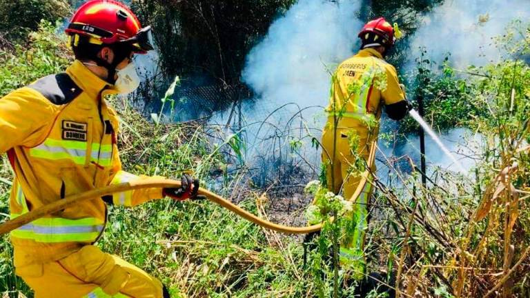 Incendio de maleza en el entorno de Puente Jontoya