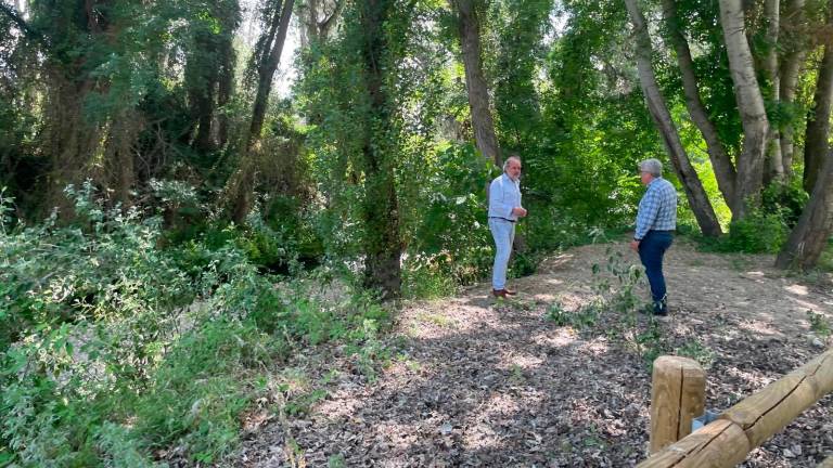 Últimos detalles de la licitación para la segunda fase de obra de Los Cañones Últimos detalles de la licitación para la segunda fase de obra de Los Cañones