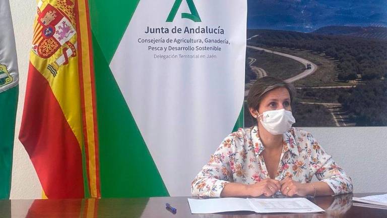 La Junta invierte 2,5 millones en obras hidráulicas y caminos rurales en Martos La Junta invierte 2,5 millones en obras hidráulicas y caminos rurales en Martos