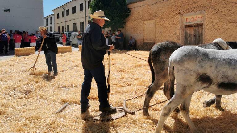 Oficio con la trilla, pericia con la madera y fiesta en la Feria de la Trashumancia Oficio con la trilla, pericia con la madera y fiesta en la Feria de la Trashumancia