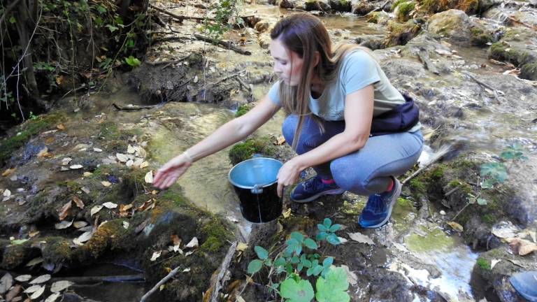 3.000 cangrejos autóctonos para los ríos y arroyos de Cazorla, Segura y Las Villas 3.000 cangrejos autóctonos para los ríos y arroyos de Cazorla, Segura y Las Villas