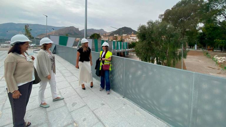 Dimite la directora-gerente del Distrito Sanitario Jaén-Jaén Sur Dimite la directora-gerente del Distrito Sanitario Jaén-Jaén Sur