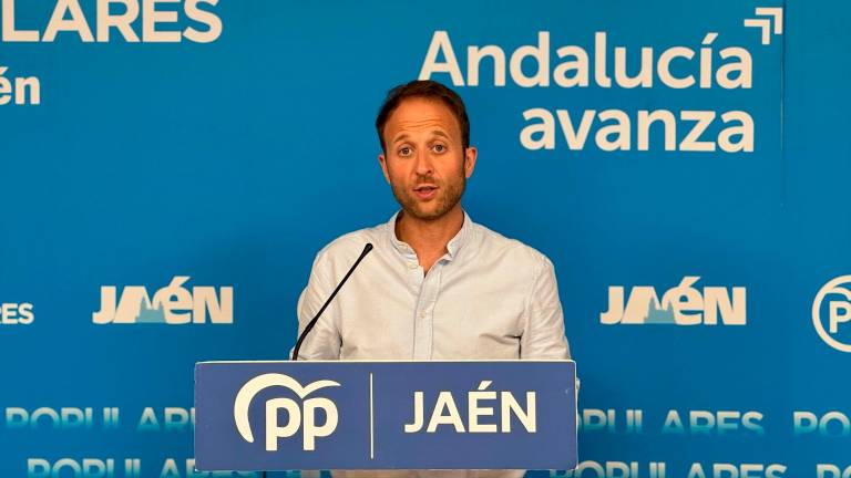 El PSOE presenta ante el TSJA una querella criminal por el audio de Erik Domínguez El PSOE presenta ante el TSJA una querella criminal por el audio de Erik Domínguez