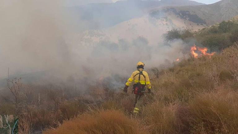 El Infoca da por extinguido el incendio forestal en Güéjar Sierra El Infoca da por extinguido el incendio forestal en Güéjar Sierra