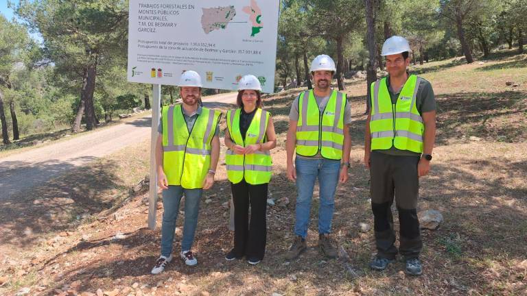 Clareos controlados de masa forestal y podas en los montes de Bedmar Clareos controlados de masa forestal y podas en los montes de Bedmar