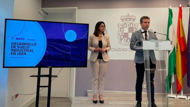 Jaén licitará 85.000 metros de suelo industrial para atraer empresas ligadas al Cetedex Jaén licitará 85.000 metros de suelo industrial para atraer empresas ligadas al Cetedex