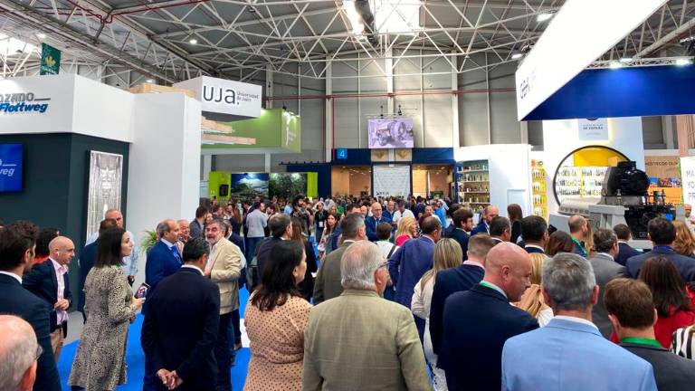 Expoliva 2025: ¿Qué actividades se esperan para la edición más ambiciosa? Expoliva 2025: ¿Qué actividades se esperan para la edición más ambiciosa?