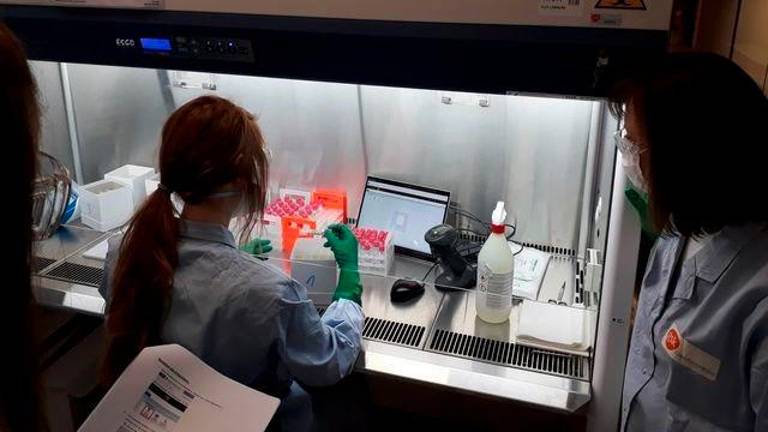 La vacuna de Oxford produce una fuerte respuesta inmune La vacuna de Oxford produce una fuerte respuesta inmune