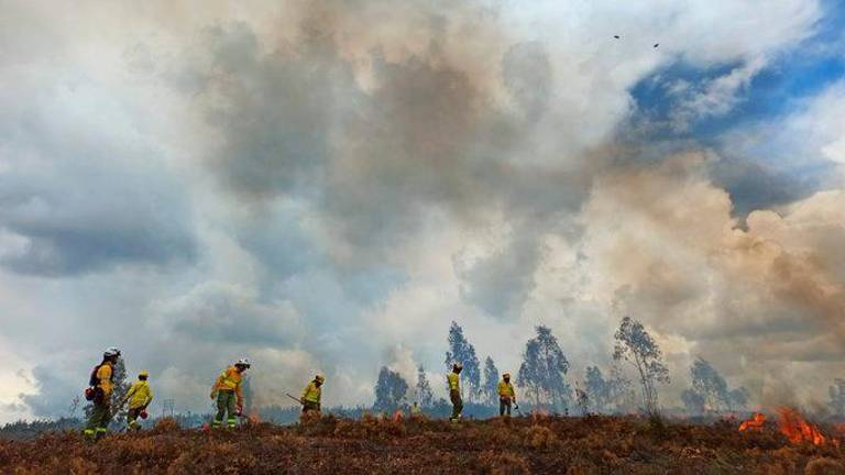 Época de riesgo bajo, pero si vas de barbacoa al campo... Época de riesgo bajo, pero si vas de barbacoa al campo...