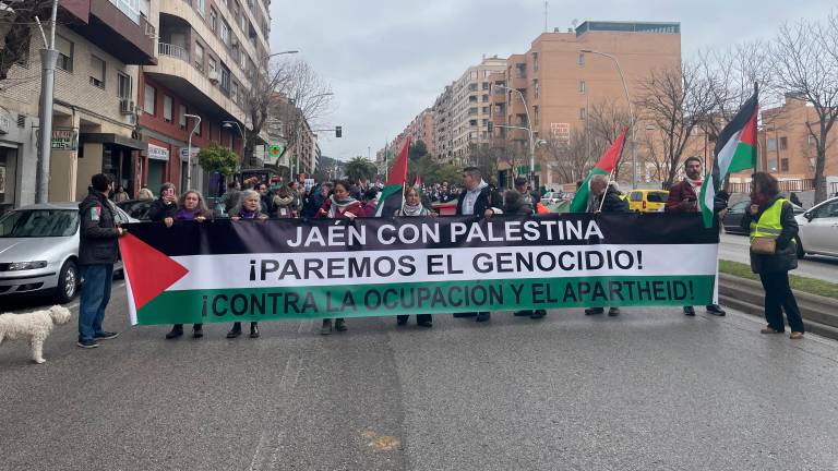 Jaén saldrá a la calle para exigir al Gobierno la ruptura de relaciones con Israel Jaén saldrá a la calle para exigir al Gobierno la ruptura de relaciones con Israel