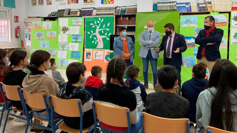 Diputación celebra el Día Mundial del Olivo con más de una veintena de talleres Diputación celebra el Día Mundial del Olivo con más de una veintena de talleres