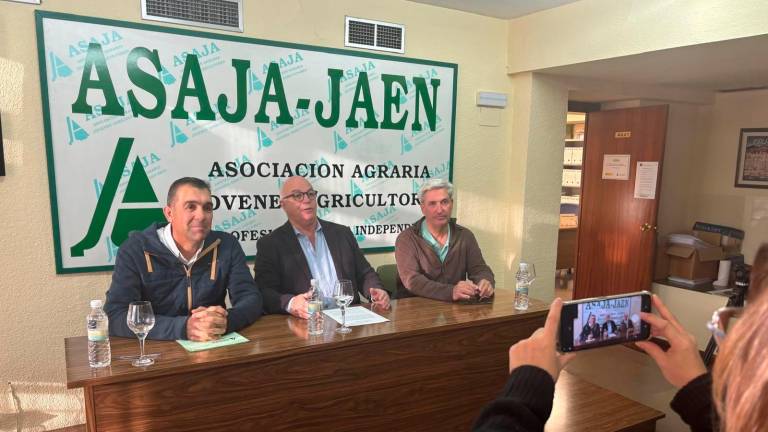 La “hecatombe de precios” del aceite de oliva marca el comienzo de la campaña La “hecatombe de precios” del aceite de oliva marca el comienzo de la campaña