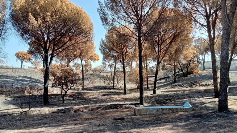 El origen del incendio en El Encinarejo apunta a una negligencia con una radial El origen del incendio en El Encinarejo apunta a una negligencia con una radial