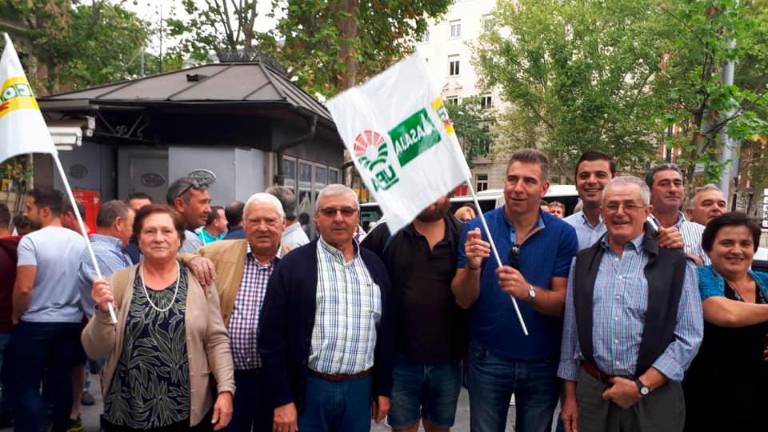 El olivar se levanta por el bajo precio del aceite El olivar se levanta por el bajo precio del aceite
