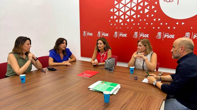 El PSOE de Jaén denuncia “el maltrato” de la Junta a las matronas El PSOE de Jaén denuncia “el maltrato” de la Junta a las matronas