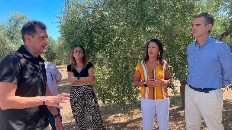 Fernández-Pacheco anuncia una inversión de 20 millones de euros en los centros de Investigación Agraria y Pesquera Fernández-Pacheco anuncia una inversión de 20 millones de euros en los centros de Investigación Agraria y Pesquera