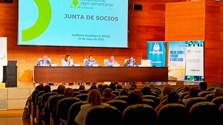 La intensa sequía afecta a la facturación de las cooperativas agroalimentarias La intensa sequía afecta a la facturación de las cooperativas agroalimentarias