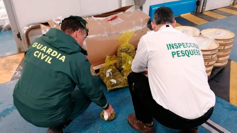 La Guardia Civil interviene 90 kilos de pescado y molusco no apto para consumo La Guardia Civil interviene 90 kilos de pescado y molusco no apto para consumo