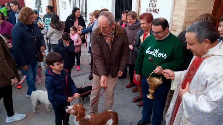 Bendición de los animales