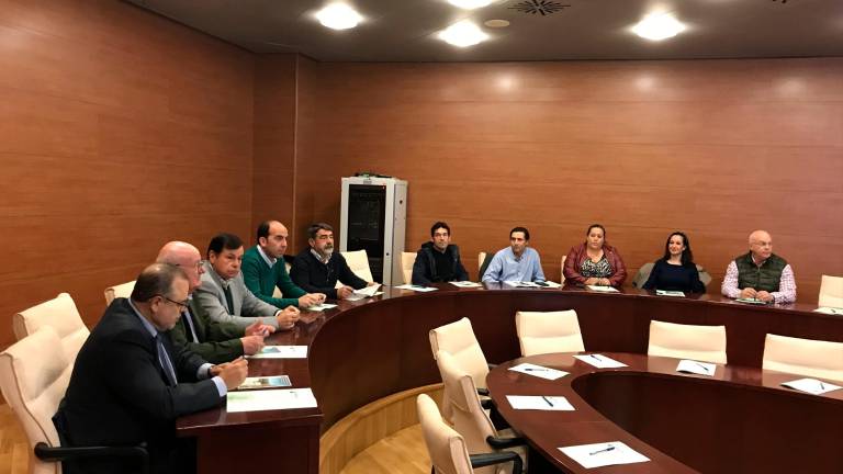 Uso de la tecnología en el olivar Uso de la tecnología en el olivar