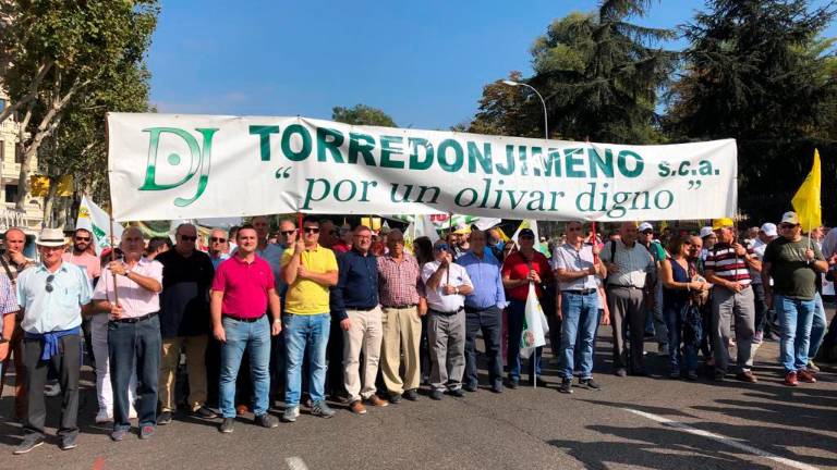 El olivar se levanta por el bajo precio del aceite El olivar se levanta por el bajo precio del aceite