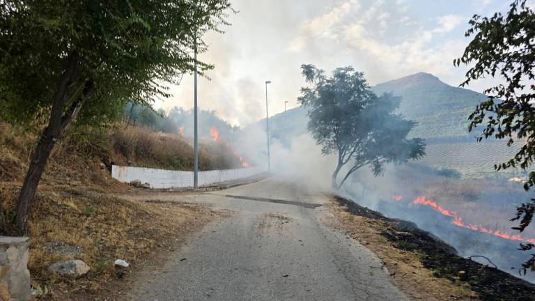 Controlado un incendio en Jamilena próximo al núcleo urbano Controlado un incendio en Jamilena próximo al núcleo urbano