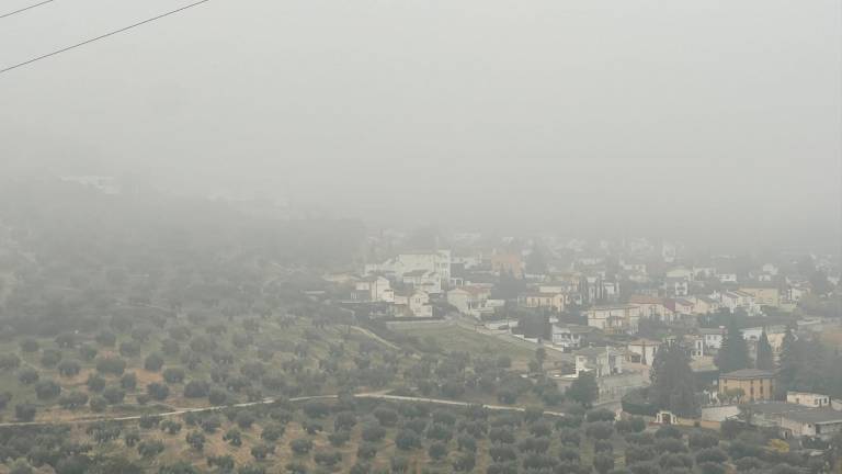Mañana de niebla, tarde de paseo y cielo casi raso de noche Mañana de niebla, tarde de paseo y cielo casi raso de noche