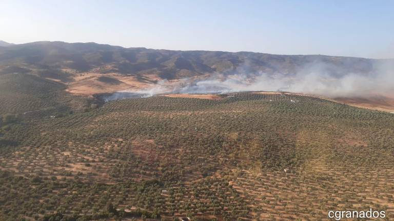 Extinguido el fuego en el “Camino San Amancio” de Andújar Extinguido el fuego en el “Camino San Amancio” de Andújar