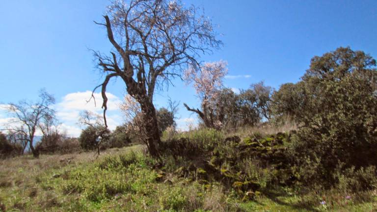 Cueva La Yedra y Zarzuela Cueva La Yedra y Zarzuela