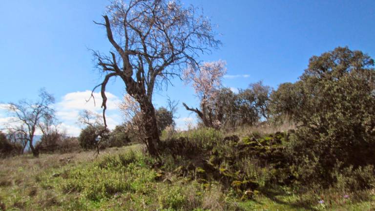 Cueva La Yedra y Zarzuela