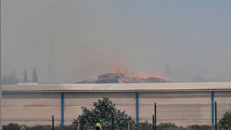 Los bomberos luchan desde esta mañana contra un incendio de la papelera de Mengíbar Los bomberos luchan desde esta mañana contra un incendio de la papelera de Mengíbar