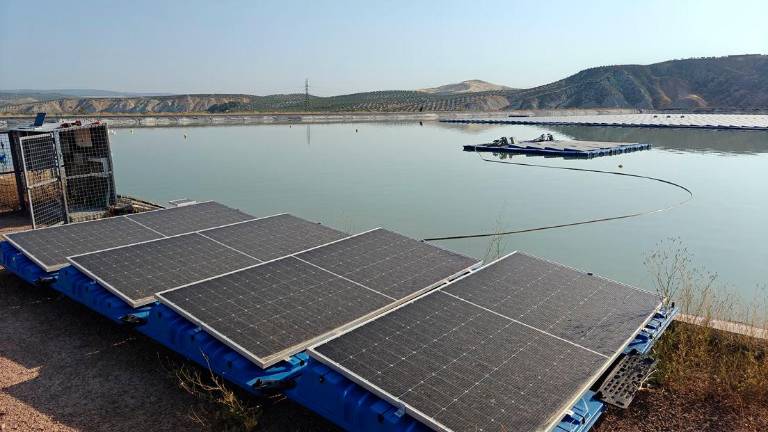 La UJA pone en marcha un campo de pruebas para tecnologías solares flotantes La UJA pone en marcha un campo de pruebas para tecnologías solares flotantes